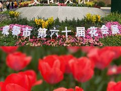 -成都市文化公园