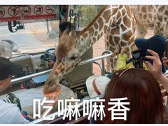 -清迈夜间动物园