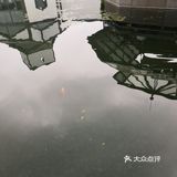 苏州博物馆馆身以灰白两色为主