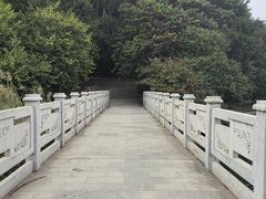 -南国桃园旅游度假区