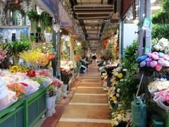 -朝来春花卉市场