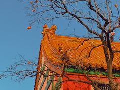 -故宫博物院(故宫)