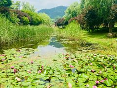 -石塘人家