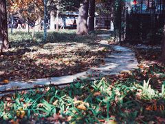 -山东大学(趵突泉校区)