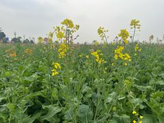 -中国天府农业博览园