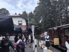 -普芬比利蒸汽火车