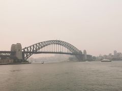 -悉尼鱼市场