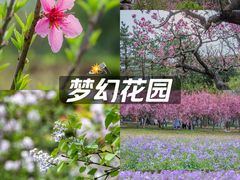 -郑州植物园