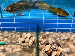 -金滏山·烤肉海鲜火锅自助(襄阳万达店)