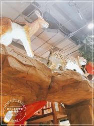 -鲁比猴非洲探索部落(喜盈门店)