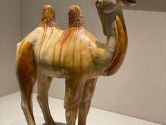 -深圳博物馆(古代艺术馆)