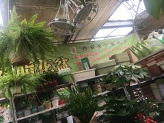 -秦美花卉(天朗·莱茵小城2期店)