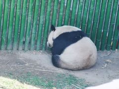 -沈阳森林动物园