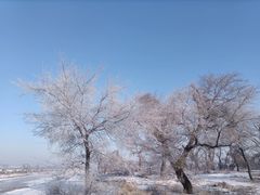 -雾凇岛