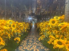 -The Grounds of Alexandria