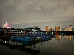 -莲花池公园