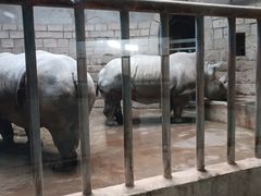 -北京动物园-畅观楼