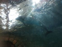 -波塞冬旅游度假区