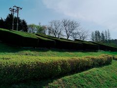 -棒棰岛宾馆景区