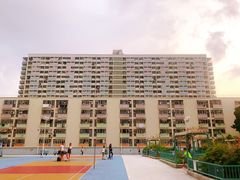 -彩虹村