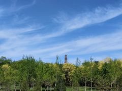 -北坞公园