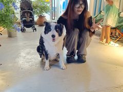 -深圳海边小筑客栈