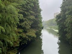 -昆山城市生态森林公园