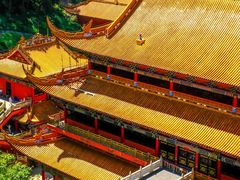 -东莞市大岭山森林公园