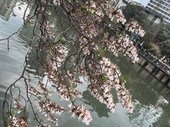 -红星桥(地铁站)