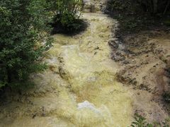 -黄龙山原始森林景区