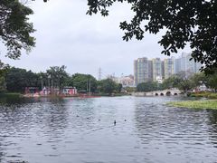 -荔湾湖公园