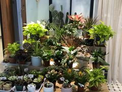 -The Green Party(嘉里中心店)