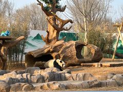 -秦皇岛野生动物园