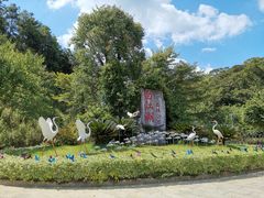 -广州白江湖森林公园