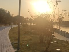 -麦当劳(中二横路店)
