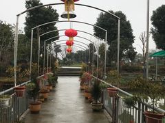 -桃园农庄·桃源宴