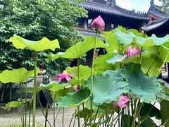 -灵谷景区