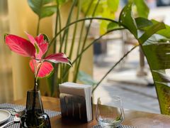 -Terra Rossa(陆家嘴中心店)
