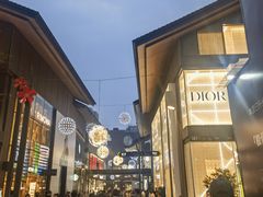 -成都蓝城悦杏温泉美食酒店(宽窄巷子店)