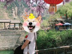 -黄花溪