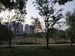 -堤角公园