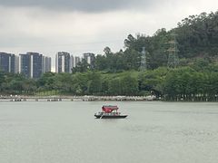 -顺峰山公园