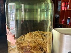 -果松木炭酸菜铜火锅·外婆参鸡汤