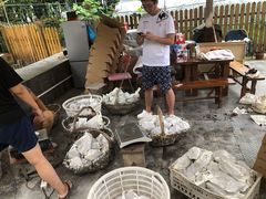 -美家乐农庄·露营·团建(大治路店)