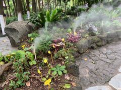 -东莞植物园