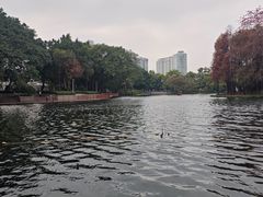 -荔湾湖公园
