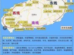 -Dombe豚(黑猪肉街店)