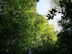 -南京市无想山景区