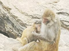-无锡动物园·太湖欢乐园