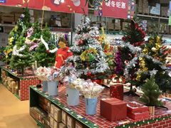 -麦德龙(南山店)
